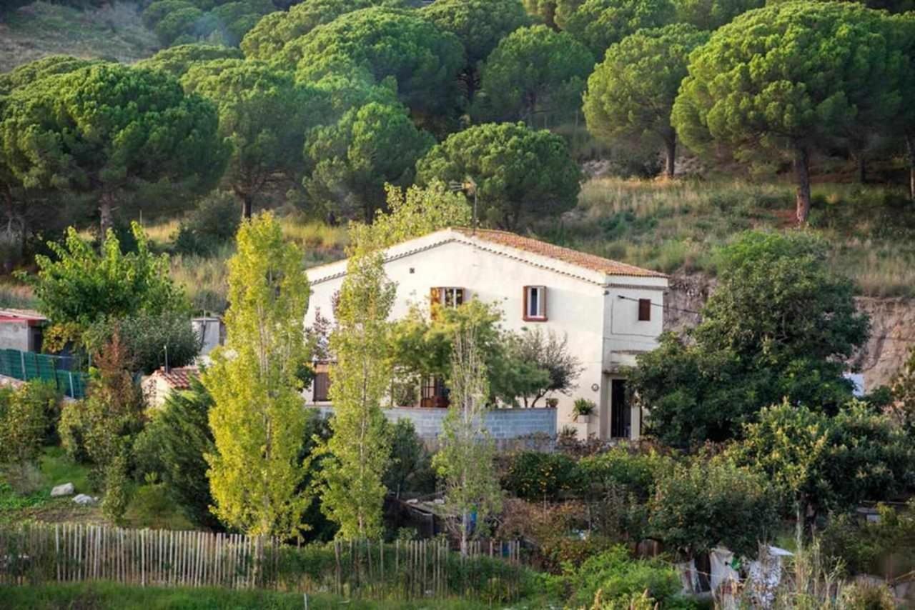 Maison d'hôtes Masia Can Tramontana à Tiana Extérieur photo